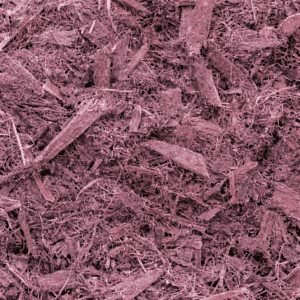 Mimosa Hostilis Inner Root Bark – Jurema Root Bark