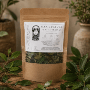 Ilex Guayusa Thee