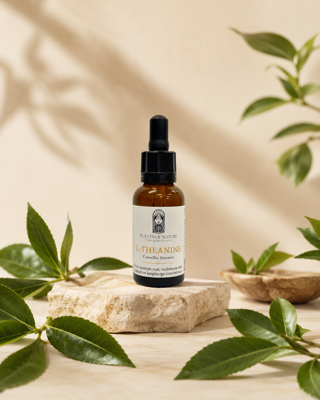 L-theanine (ADHD) Extract L-theanine (ADHD) Extract