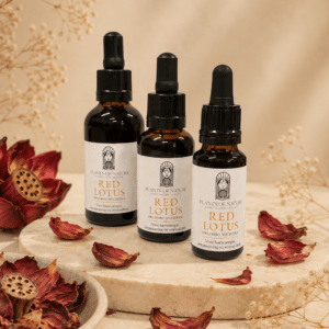 Rode Lotus Extract