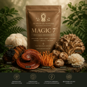 Medicinale paddenstoelen mix (Magic 7)