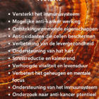 reishi paddenstoel medicinale voordelen