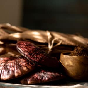 Reishi Paddenstoelen Poeder Biologisch