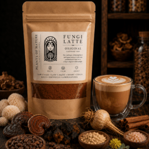Fungi Latte Original