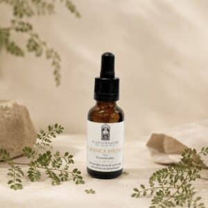 Chanca Piedra Extract
